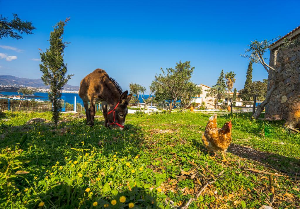 Panorama - Adults Only Appart hôtel 4*